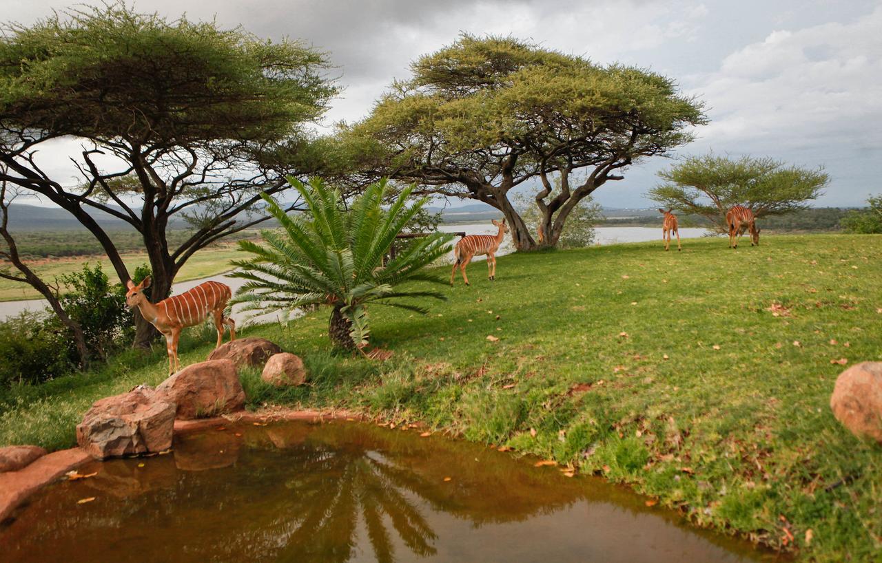 Nkwazi Lake Lodge Pongola Extérieur photo